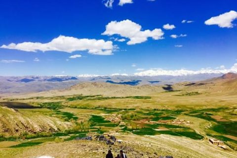 مرکز بهسود