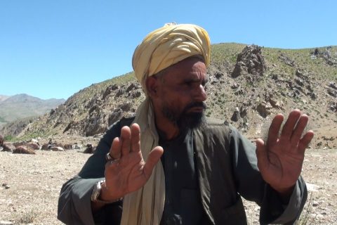 استیلای کوچیگری