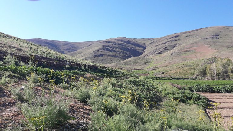 نمای از طبیعت بهار مناطق از ولسوالی مرکز بهسود