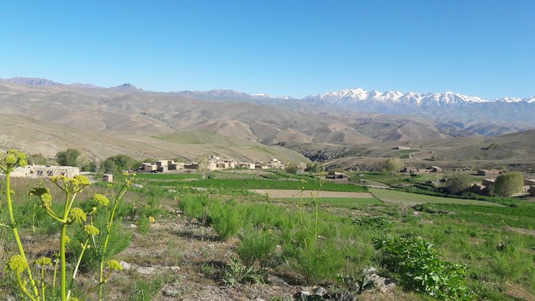 نمای از طبیعت بهار مناطق از ولسوالی مرکز بهسود