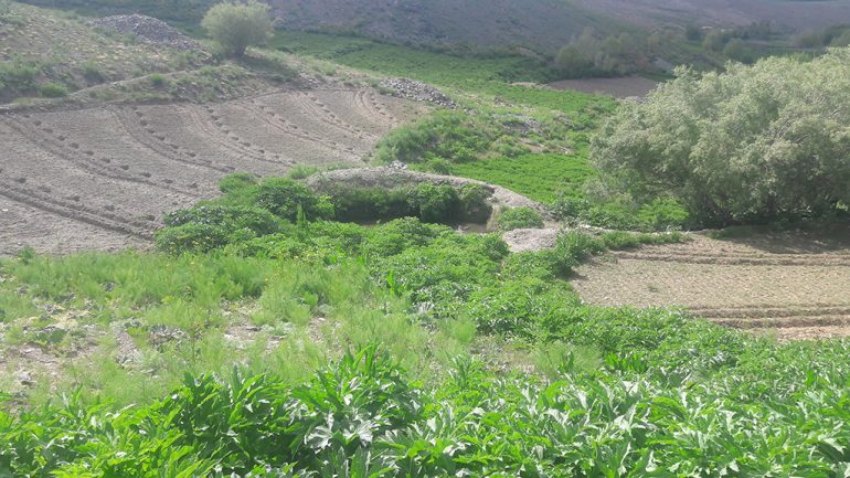 نمای از طبیعت بهار مناطق از ولسوالی مرکز بهسود