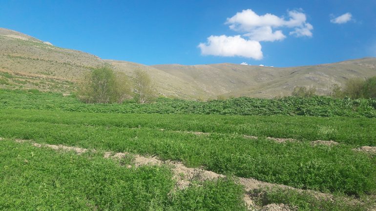 نمای از طبیعت بهار مناطق از ولسوالی مرکز بهسود