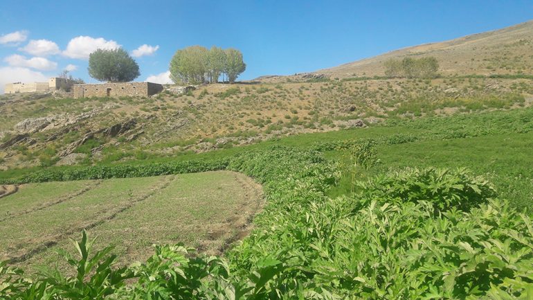 نمای از طبیعت بهار مناطق از ولسوالی مرکز بهسود