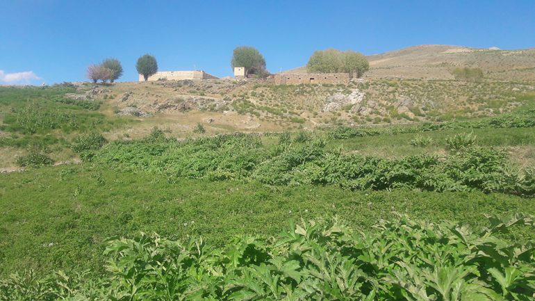 نمای از طبیعت بهار مناطق از ولسوالی مرکز بهسود