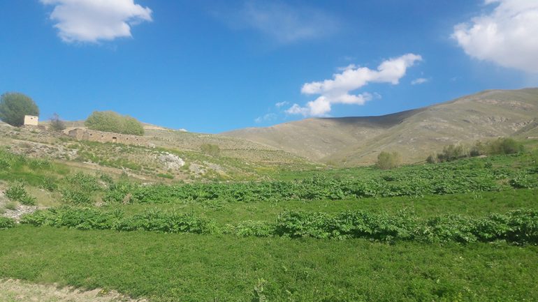 نمای از طبیعت بهار مناطق از ولسوالی مرکز بهسود