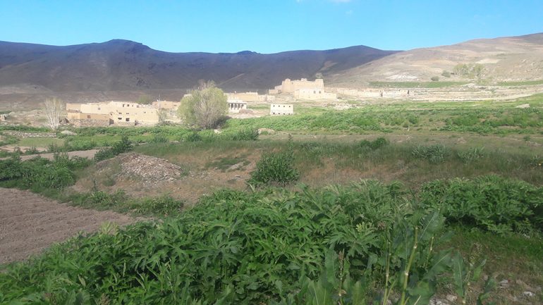 نمای از طبیعت بهار مناطق از ولسوالی مرکز بهسود