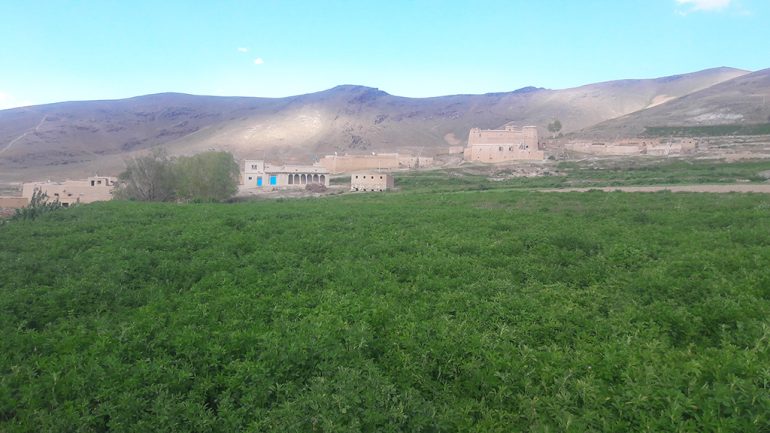 نمای از طبیعت بهار مناطق از ولسوالی مرکز بهسود
