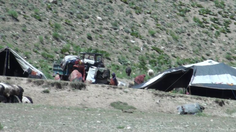 حضور سنگین کوچی ها در بهسود