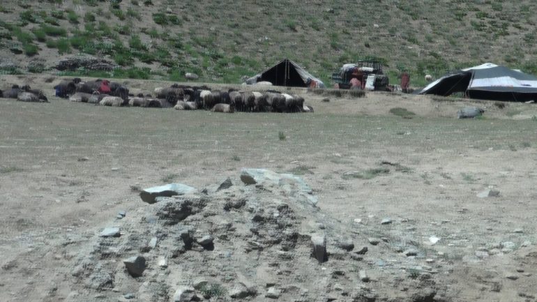 حضور سنگین کوچی ها در بهسود