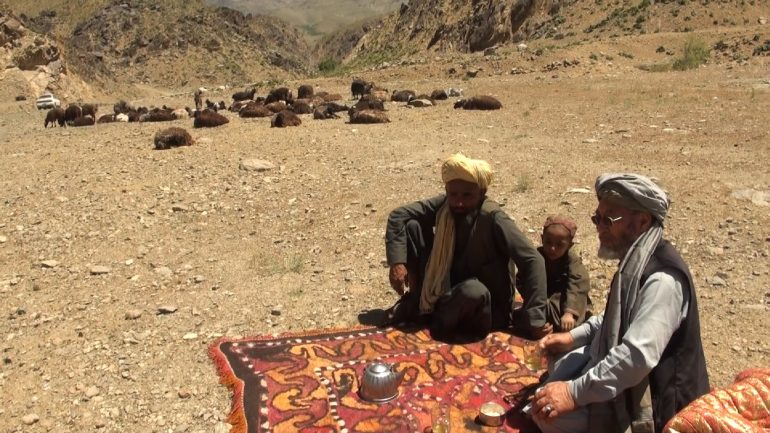 حضور سنگین کوچی ها در بهسود
