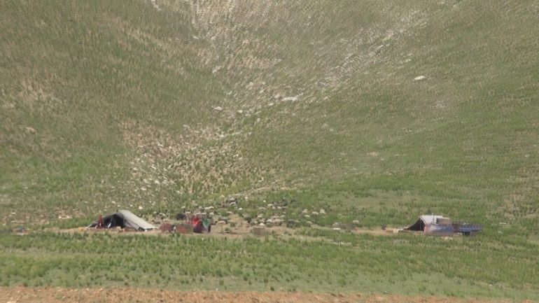 حضور سنگین کوچی ها در بهسود