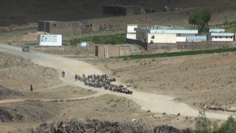 حضور سنگین کوچی ها در بهسود