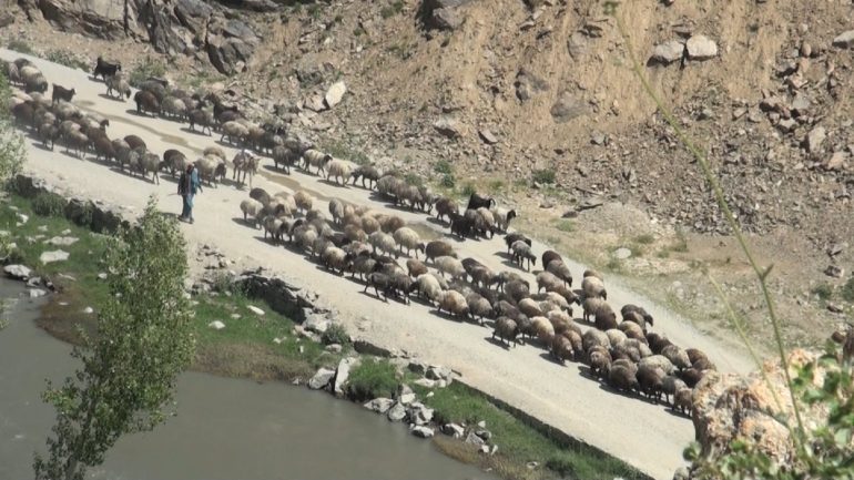 حضور سنگین کوچی ها در بهسود