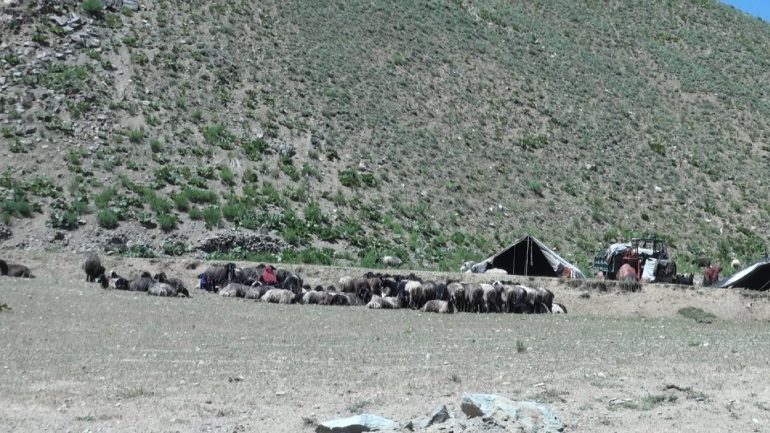 حضور سنگین کوچی ها در بهسود