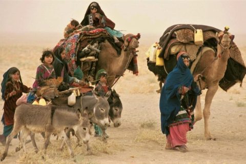 Nomads of Afghanistan کوچی_گری_و_سیاست_تخلیه_سرزمینی