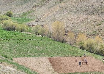 رو فرهنگ هزاره گی