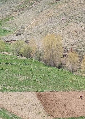رو فرهنگ هزاره گی