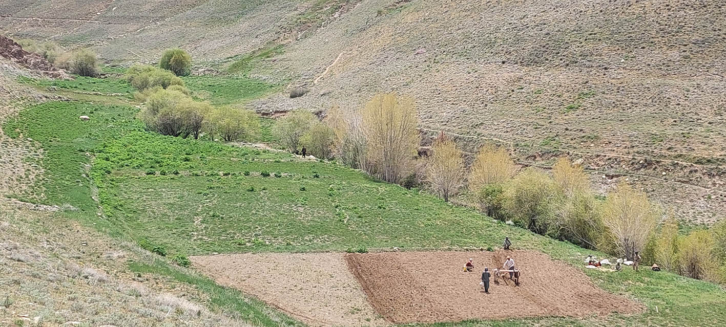 رو فرهنگ هزاره گی