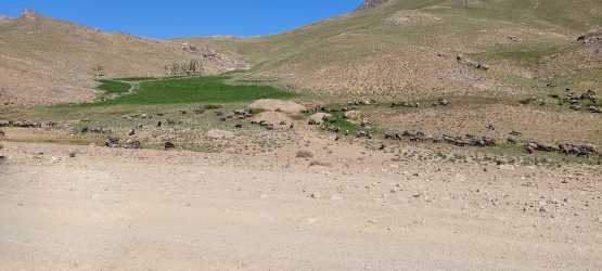 کوچی ها در بهسود
