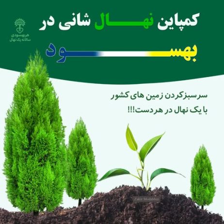 کمپاین نهال‌شانی در بهسود – ولایت میدان وردک