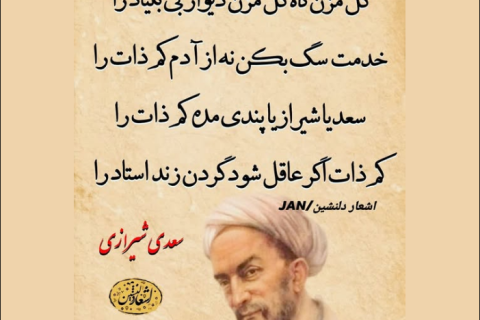 کمزاد اگر عاقل شود، گردن زند استاد را؛