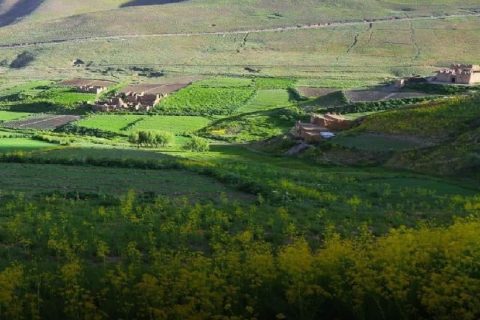 انسان گرگ انسان است؛