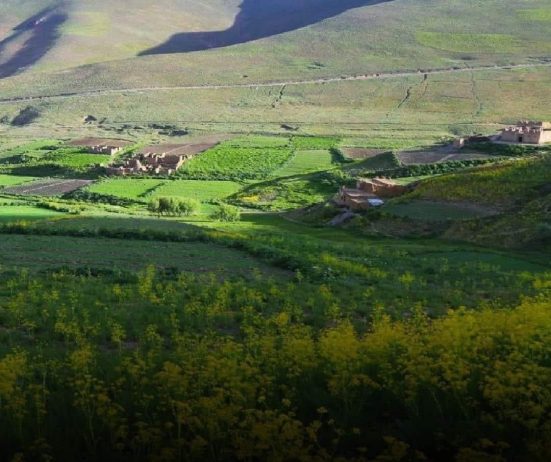 انسان گرگ انسان است؛