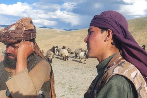 کوچی