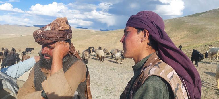 کوچی