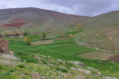 طرحی برای سازگاری زراعت ( بهسود زمین) با اقلیم آینده