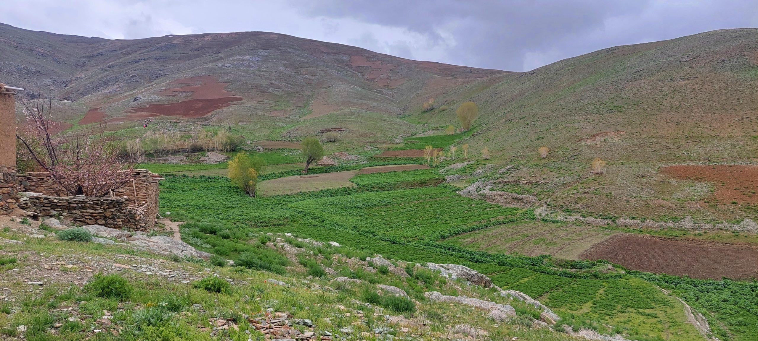 طرحی برای سازگاری زراعت ( بهسود زمین) با اقلیم آینده